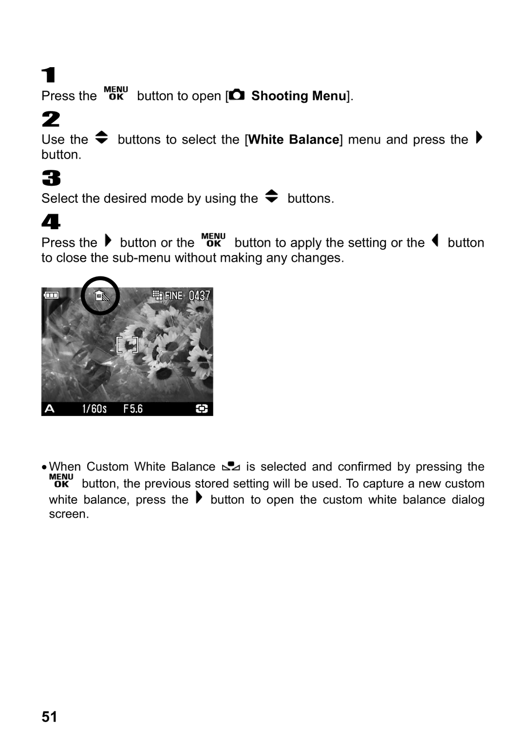 Sigma DP1 user manual 