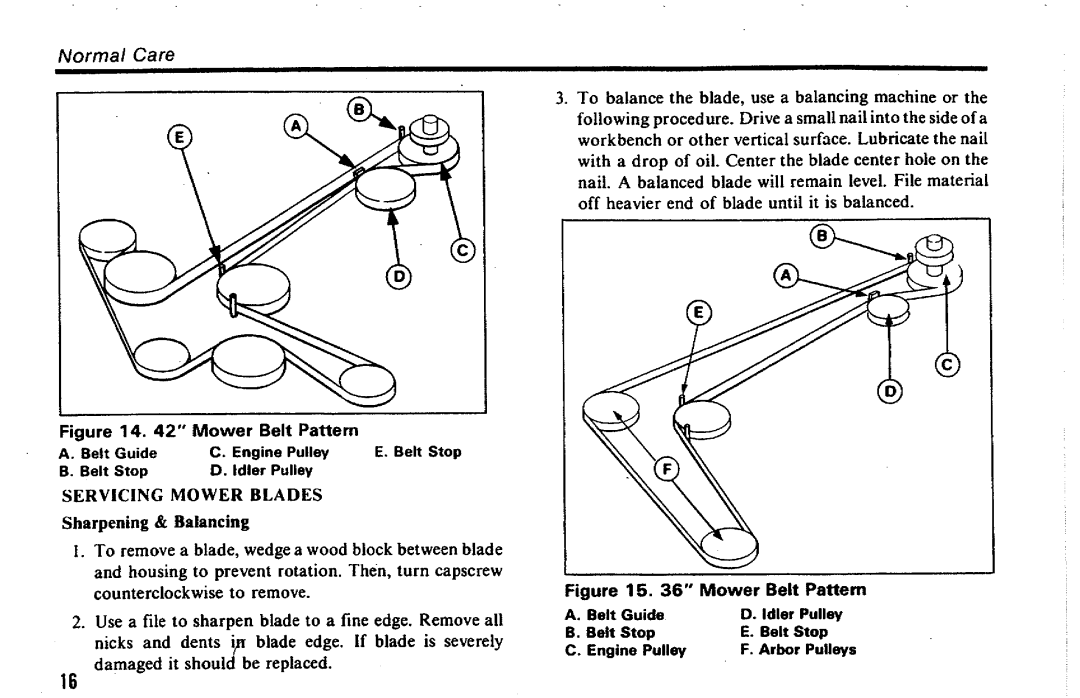 Simplicity SunRunner Series manual 