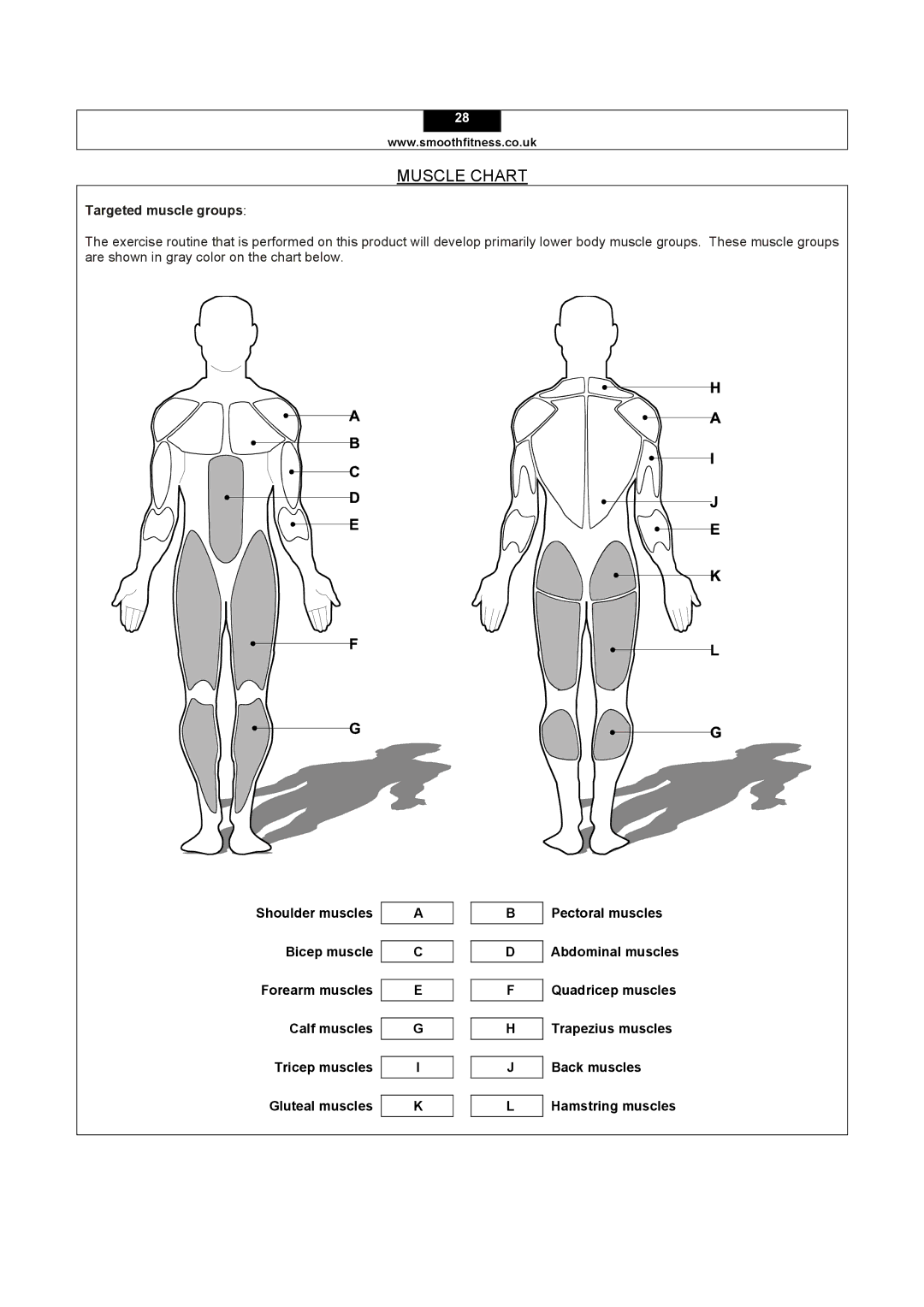 Smooth Fitness 5.15E user manual Muscle Chart, Targeted muscle groups 