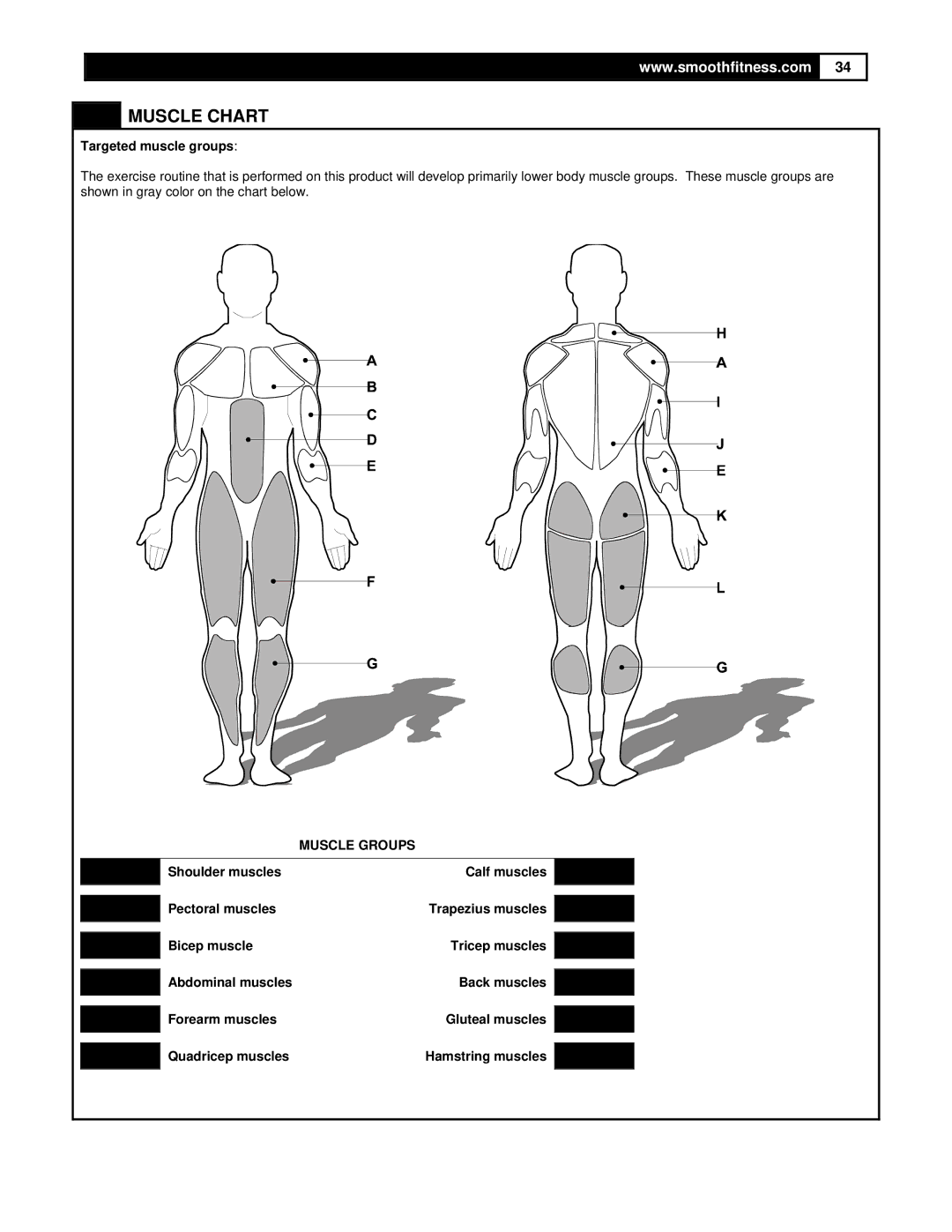 Smooth Fitness 5.25 Motorized Treadmill owner manual Muscle Chart, Targeted muscle groups 