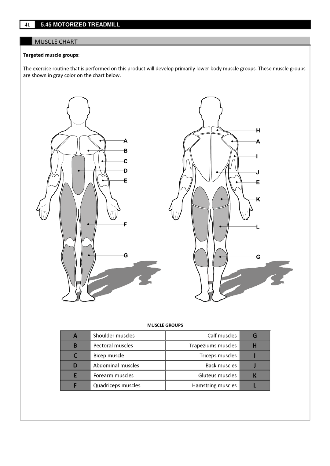 Smooth Fitness 5.45 manual Muscle Chart, Targeted muscle groups 