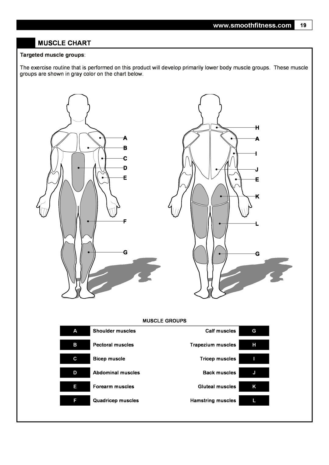 Smooth Fitness 5.65I Muscle Chart, Targeted muscle groups, Muscle Groups, Shoulder muscles, Calf muscles, Pectoral muscles 