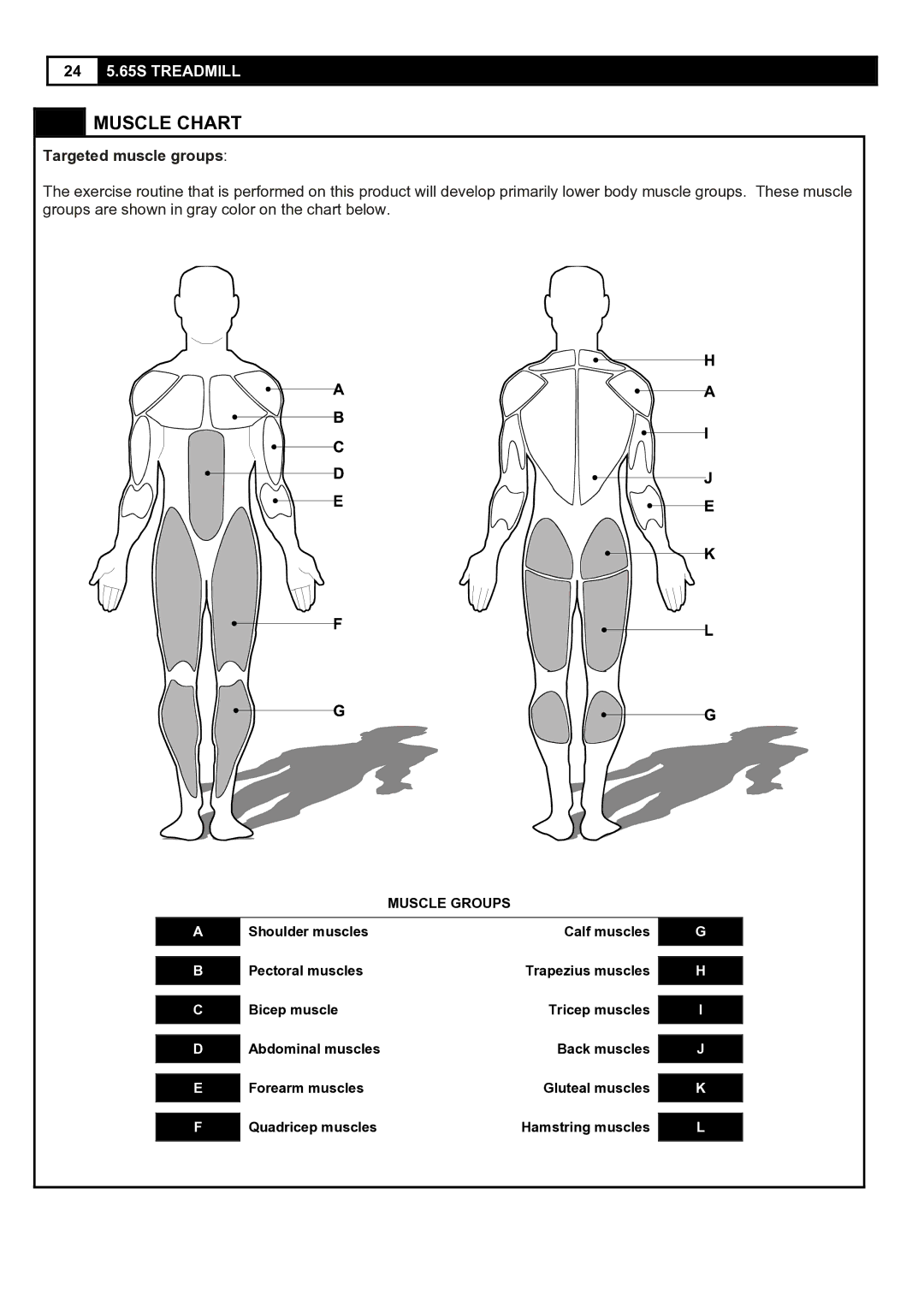 Smooth Fitness 5.65S user manual Muscle Chart, Targeted muscle groups 