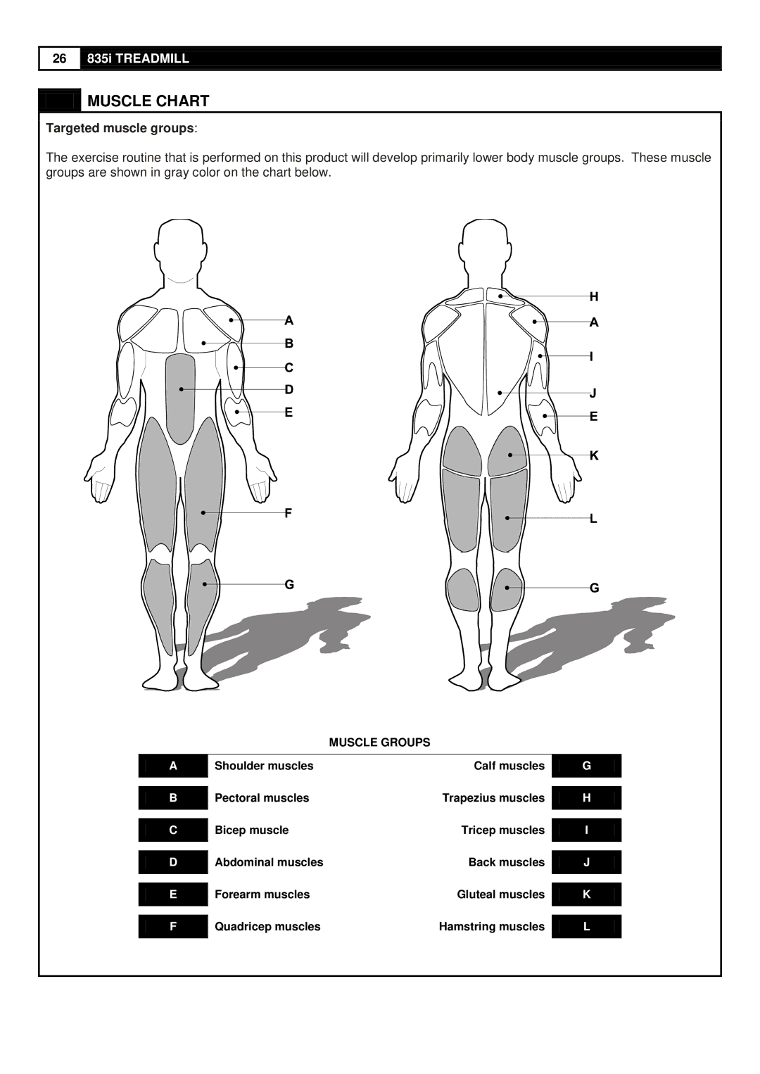 Smooth Fitness 835 user manual Muscle Chart, Targeted muscle groups 