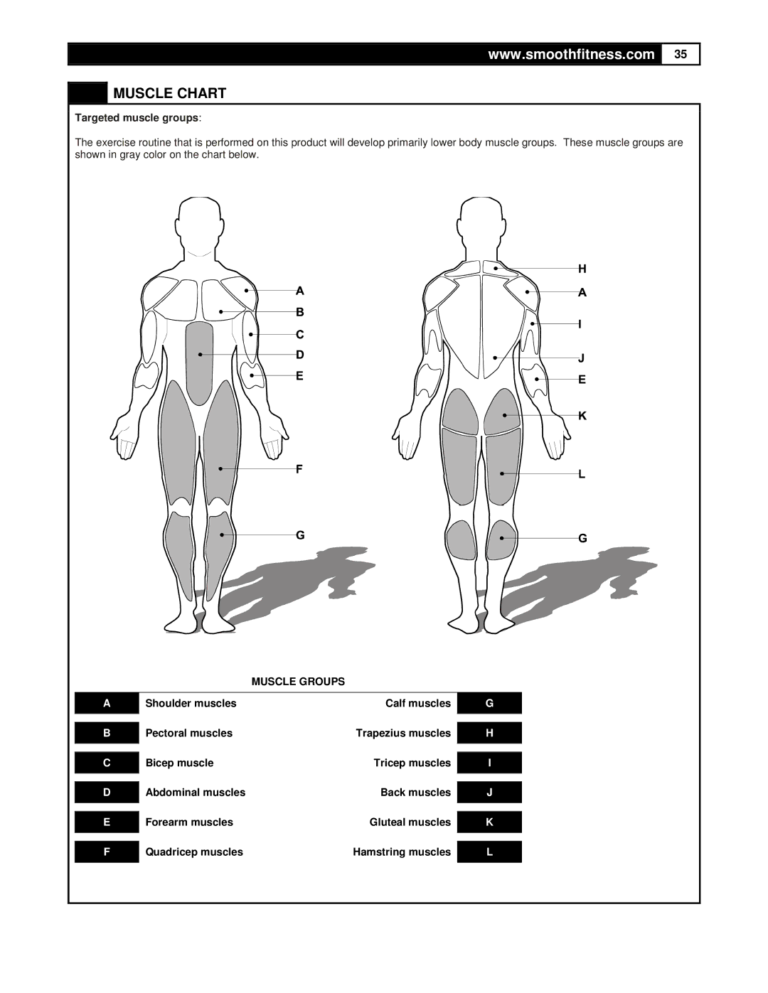 Smooth Fitness 9.35HR user manual Muscle Chart, Muscle Groups 