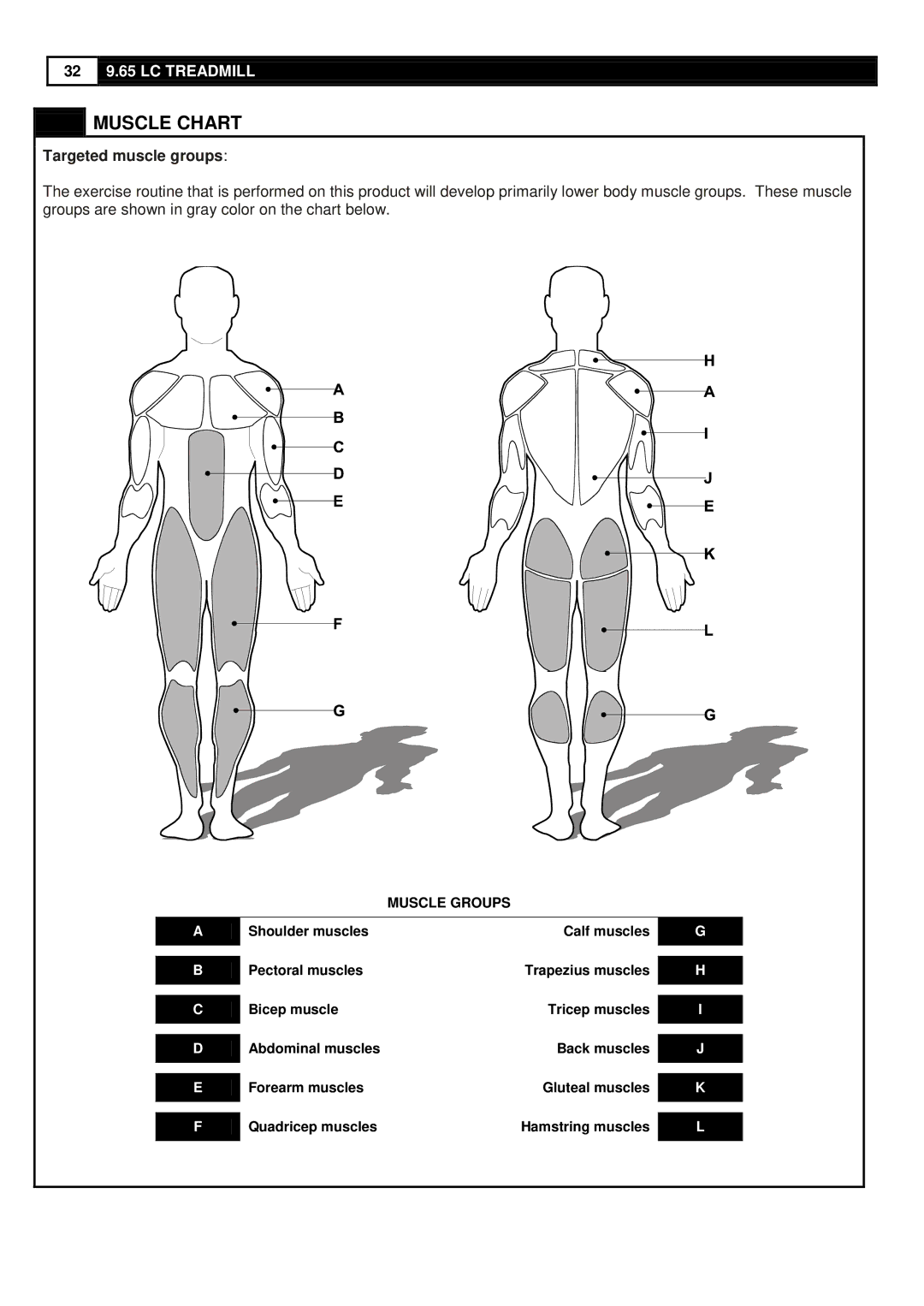 Smooth Fitness 9.65LC user manual Muscle Chart, Targeted muscle groups 