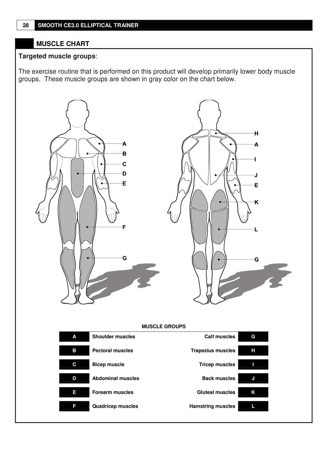 Smooth Fitness CE-3.0 user manual Muscle Chart, Targeted muscle groups 