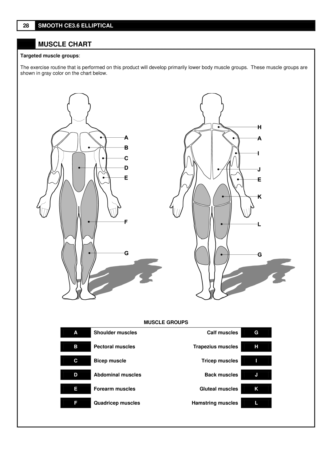 Smooth Fitness CE-3.6 user manual Muscle Chart, Muscle Groups 