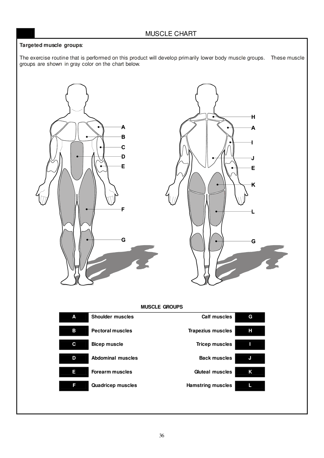 Smooth Fitness CE-8.0LC owner manual Muscle Chart 