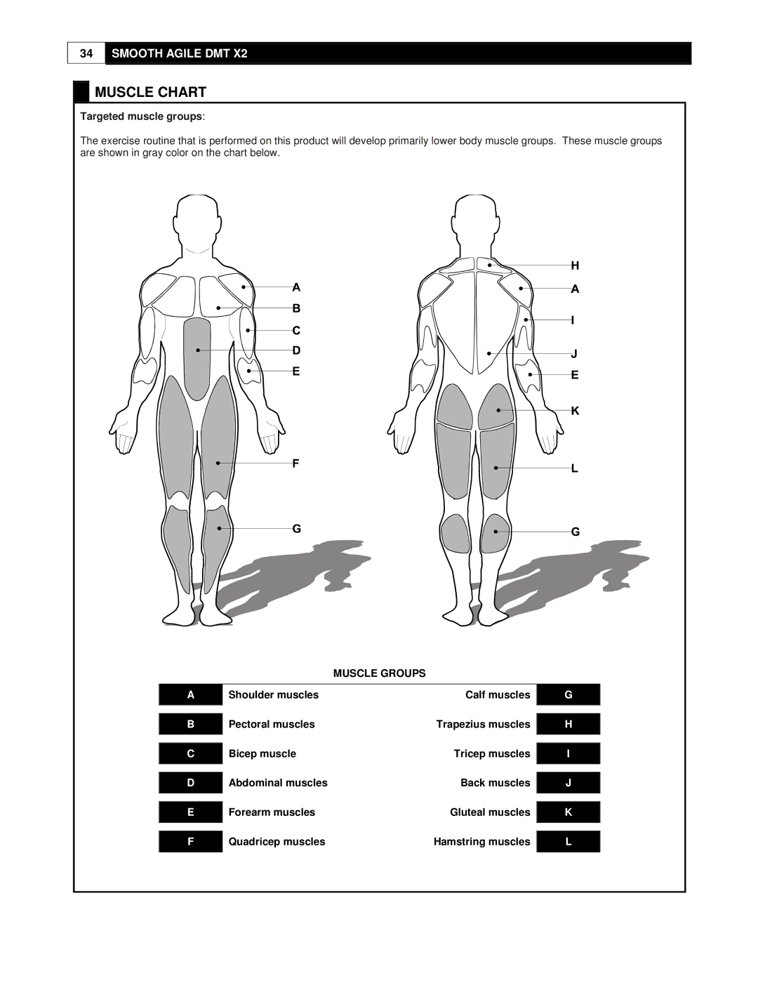 Smooth Fitness DMT X2 user manual Muscle Chart, Muscle Groups 