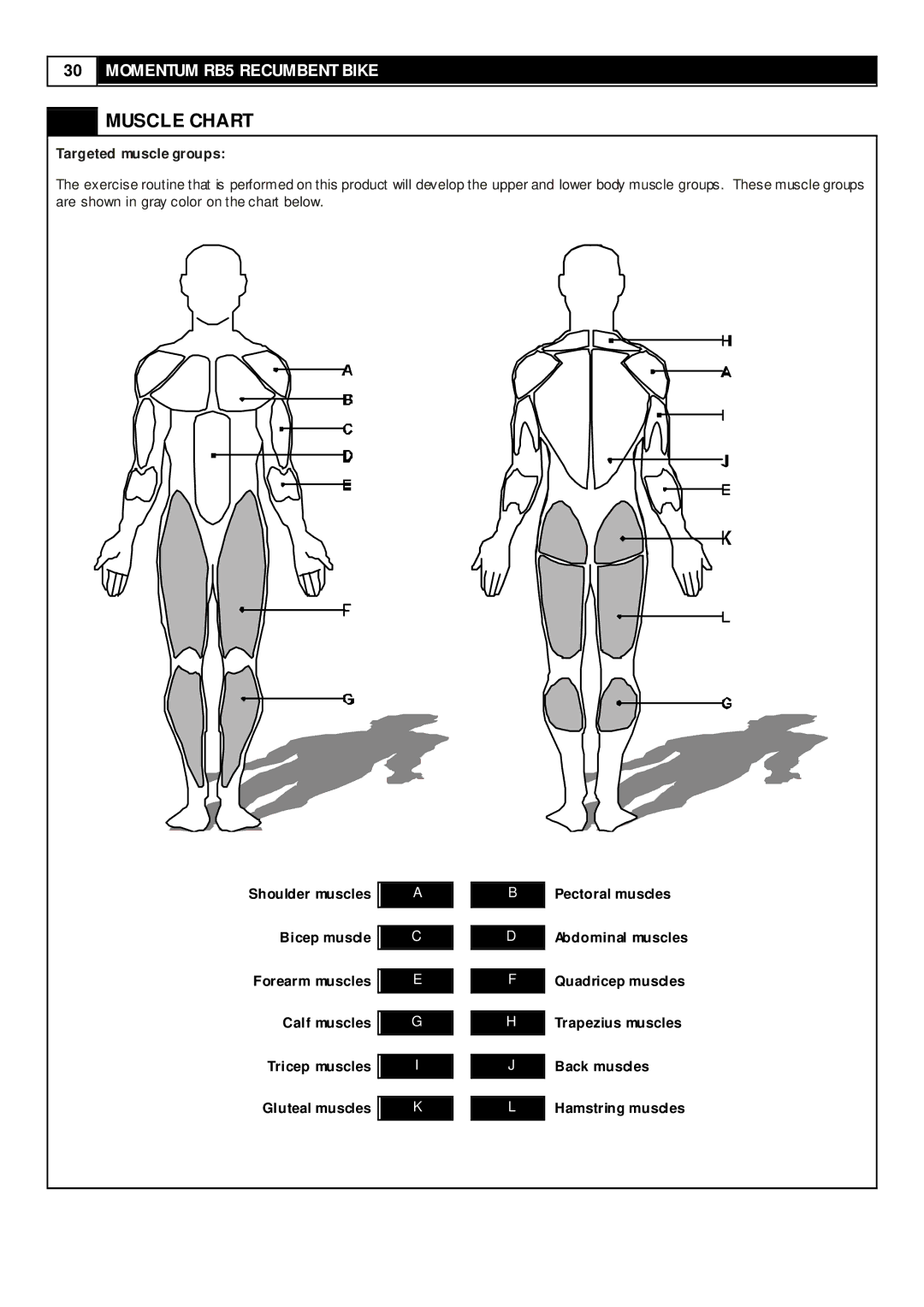 Smooth Fitness RB5 user manual Muscle Chart, Targeted muscle groups 