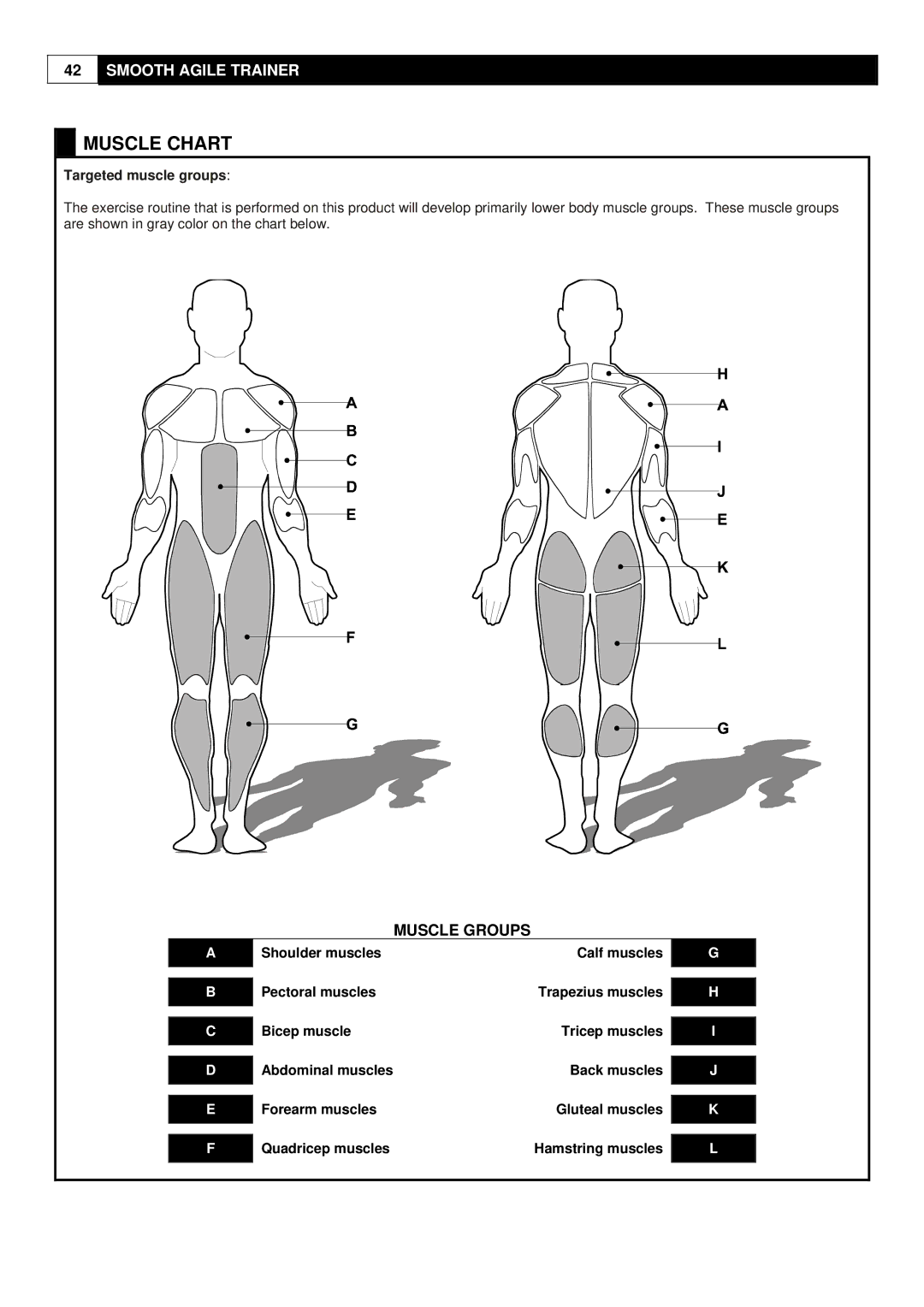 Smooth Fitness Smooth Agile Trainer user manual Muscle Chart, Shoulder muscles Calf muscles Pectoral muscles, Bicep muscle 