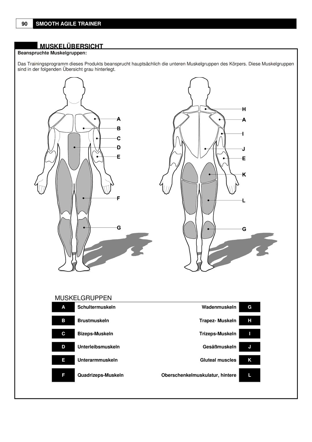 Smooth Fitness Smooth Agile Trainer user manual Muskelübersicht, Quadrizeps-Muskeln Oberschenkelmuskulatur, hintere 