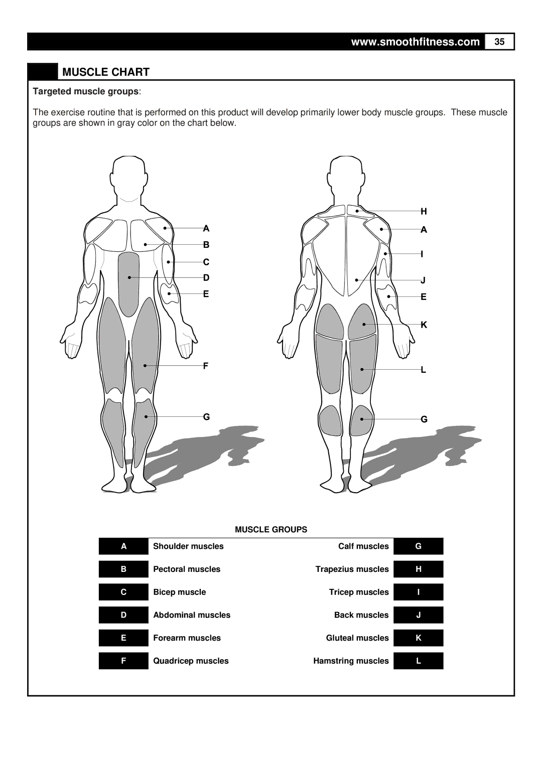 Smooth Fitness 6.45M Motorized Treadmill, ST-MNL-645-SMUS-1 user manual Muscle Chart, Targeted muscle groups 