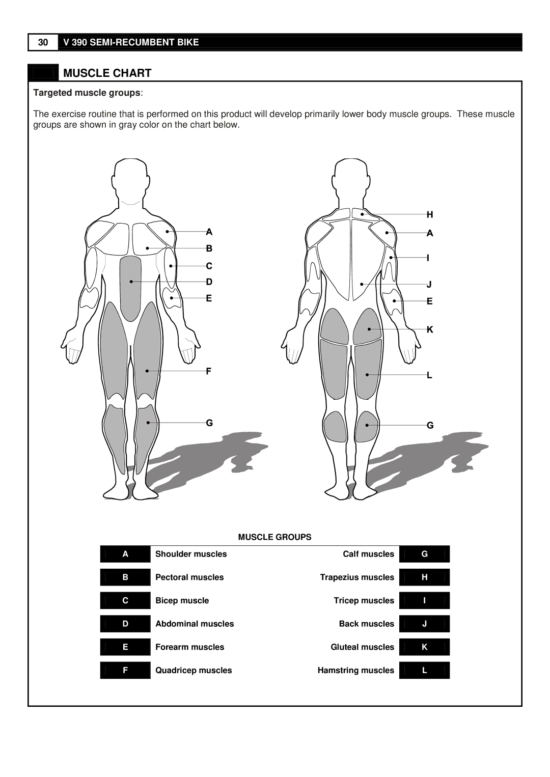 Smooth Fitness V390 user manual Muscle Chart, Targeted muscle groups 