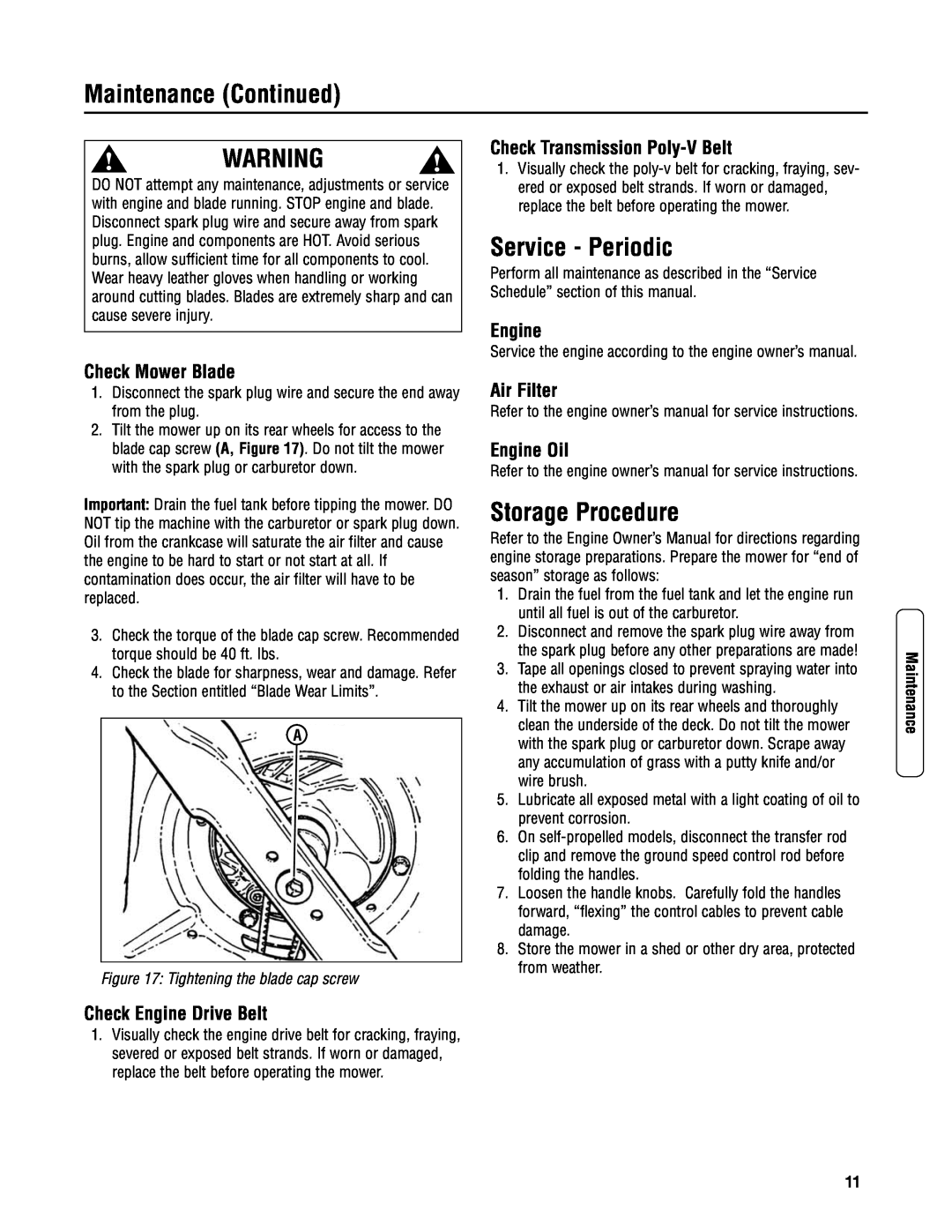 Snapper P2187520BV (7800430) Maintenance Continued, Service - Periodic, Storage Procedure, Check Mower Blade, Air Filter 