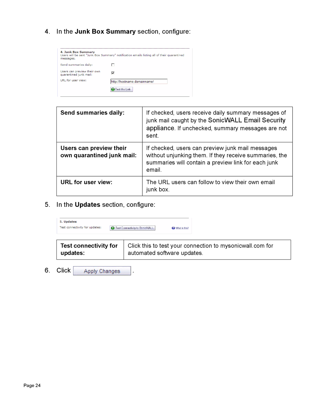 SonicWALL 300 manual Junk Box Summary section, configure, Updates section, configure 