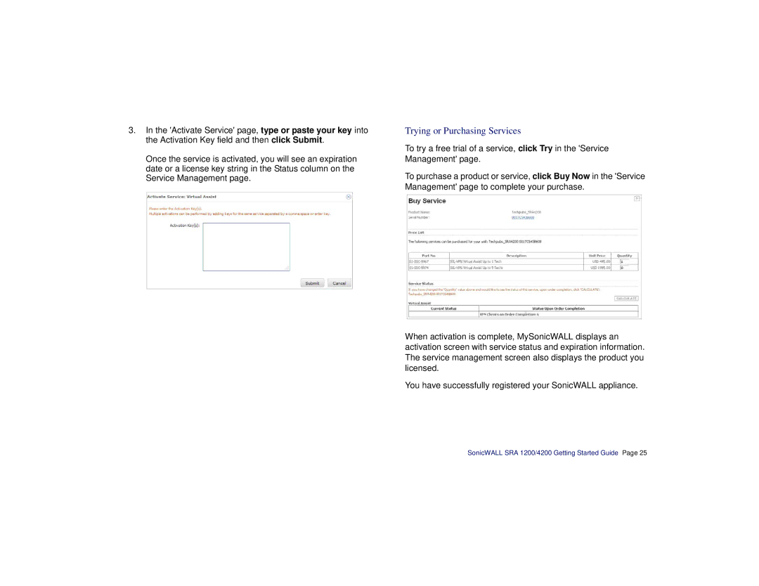 SonicWALL SRA 1200/4200 manual Trying or Purchasing Services 