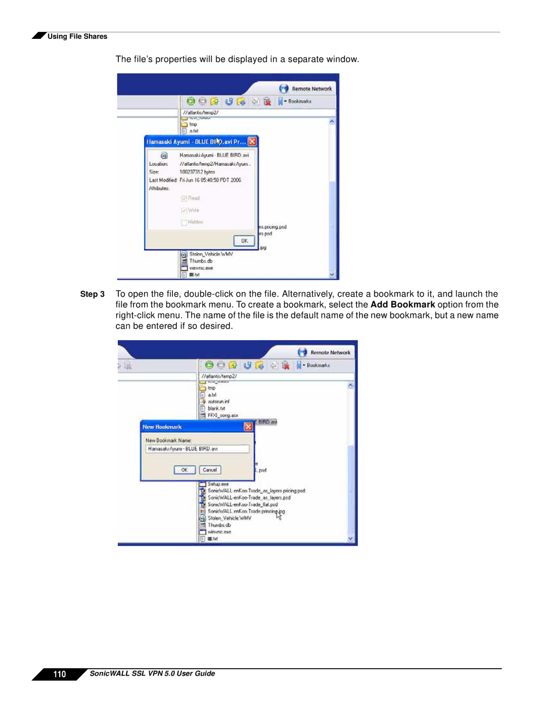 SonicWALL manual SonicWALL SSL VPN 5.0 User Guide 