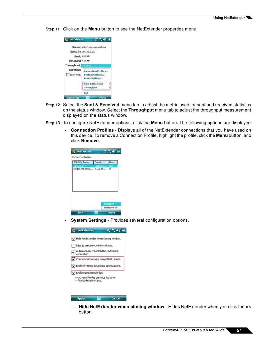 SonicWALL manual SonicWALL SSL VPN 5.0 User Guide 