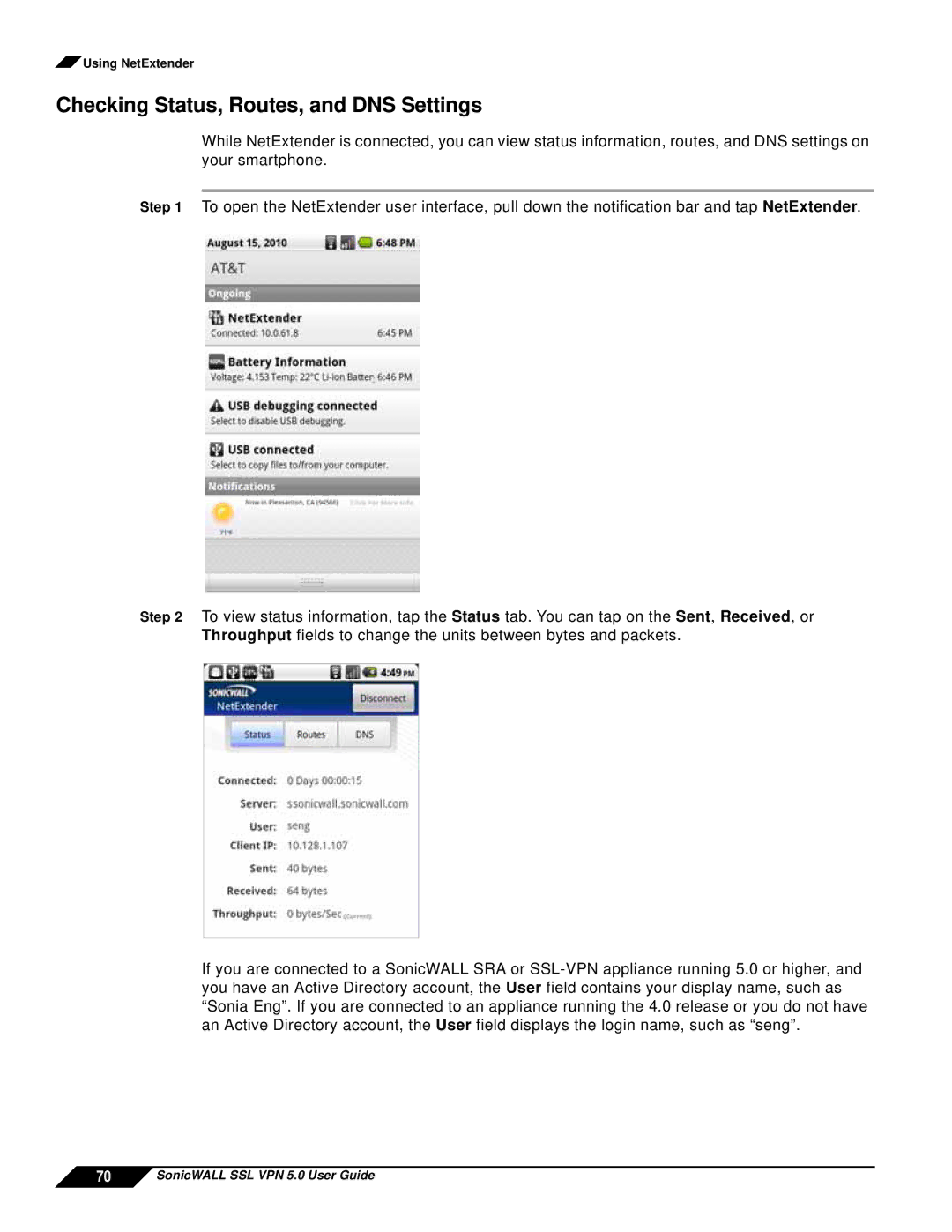 SonicWALL SSL VPN 5.0 manual Checking Status, Routes, and DNS Settings 