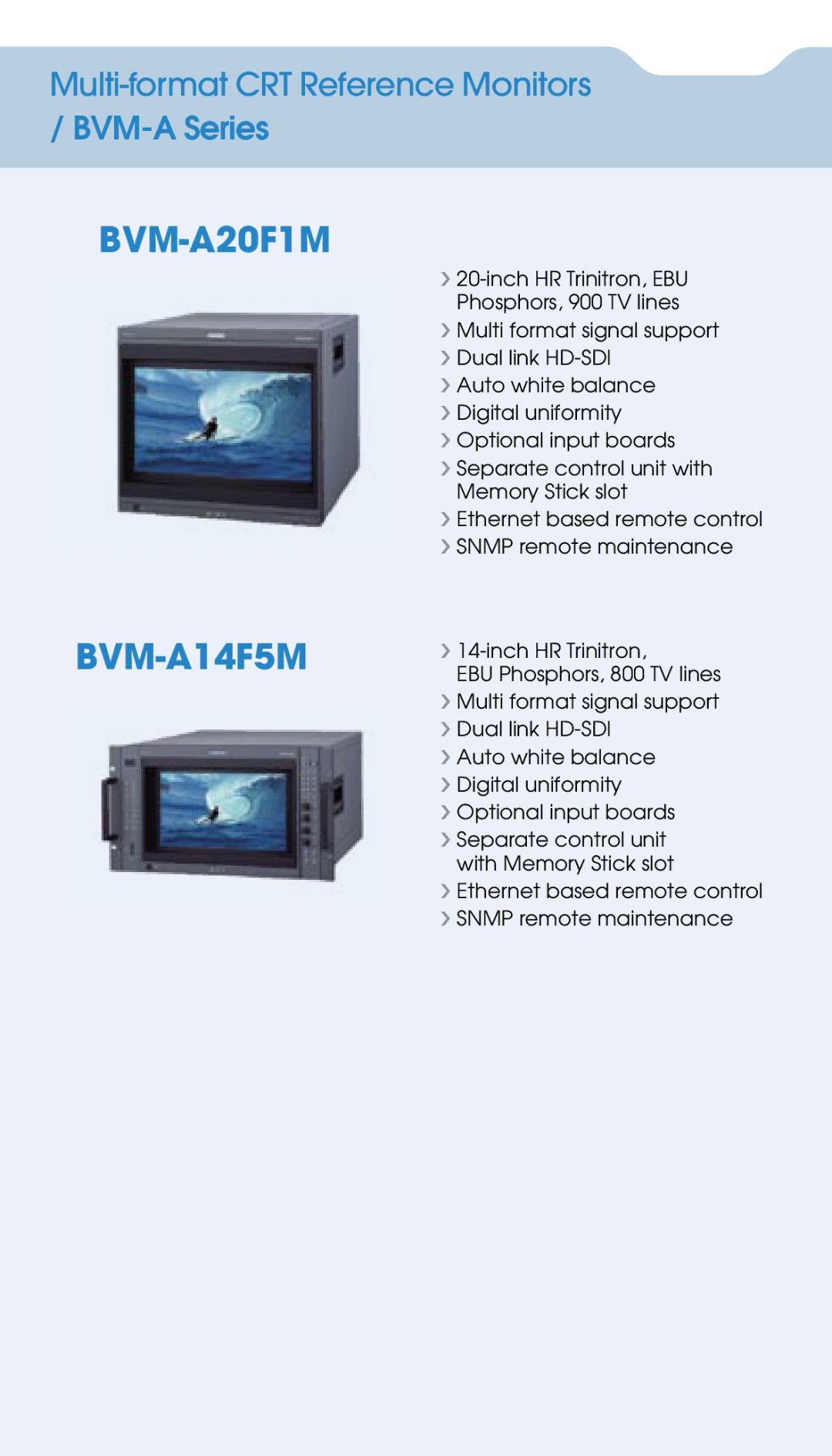 Sony BVM-L170 manual BVM-A20F1M 