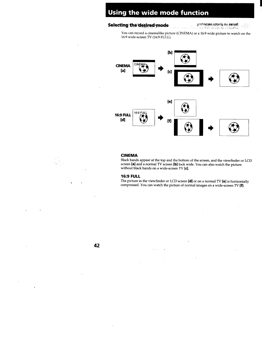 Sony CCD-TRV99, CCD-TRV95 manual 