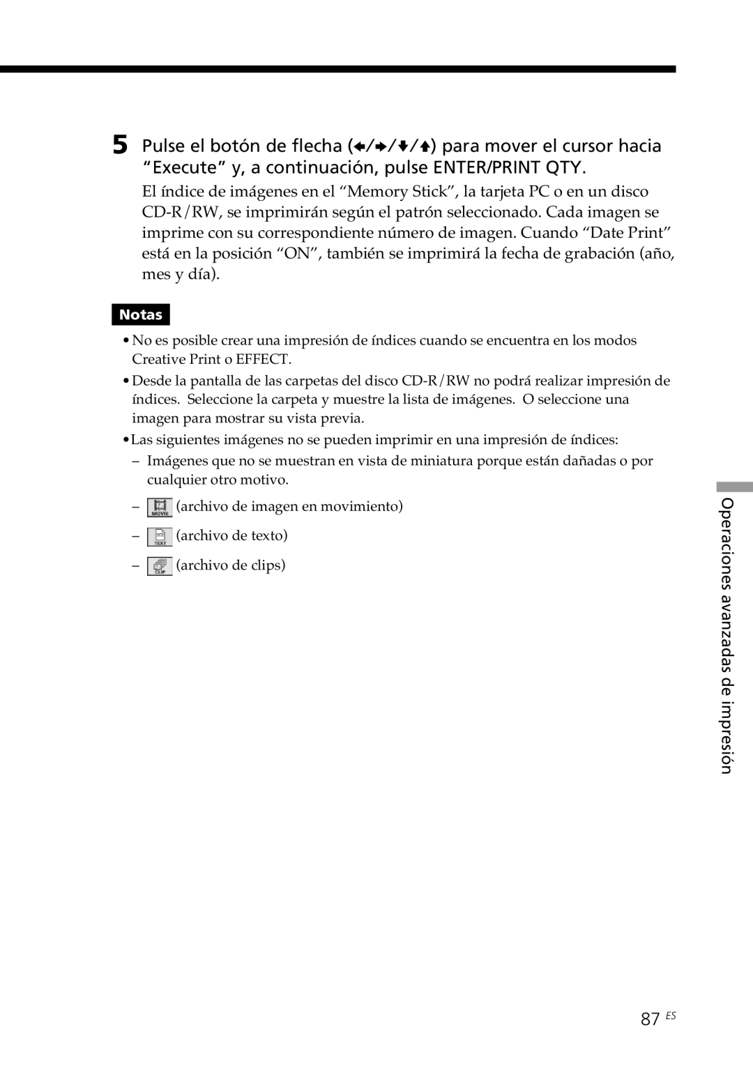 Sony DPP-SV88 operating instructions 87 ES 