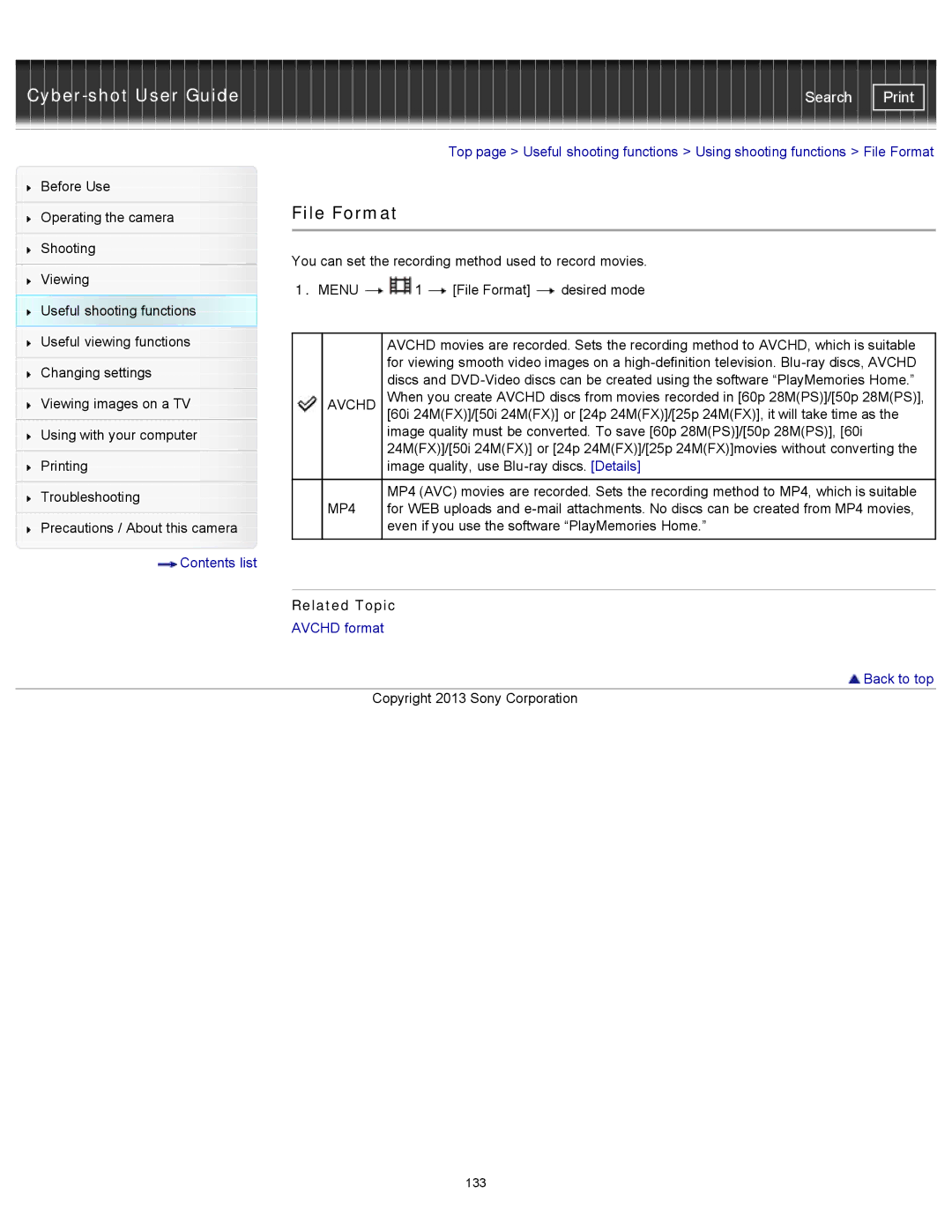 Sony DSC-RX100M2 manual File Format, Avchd 