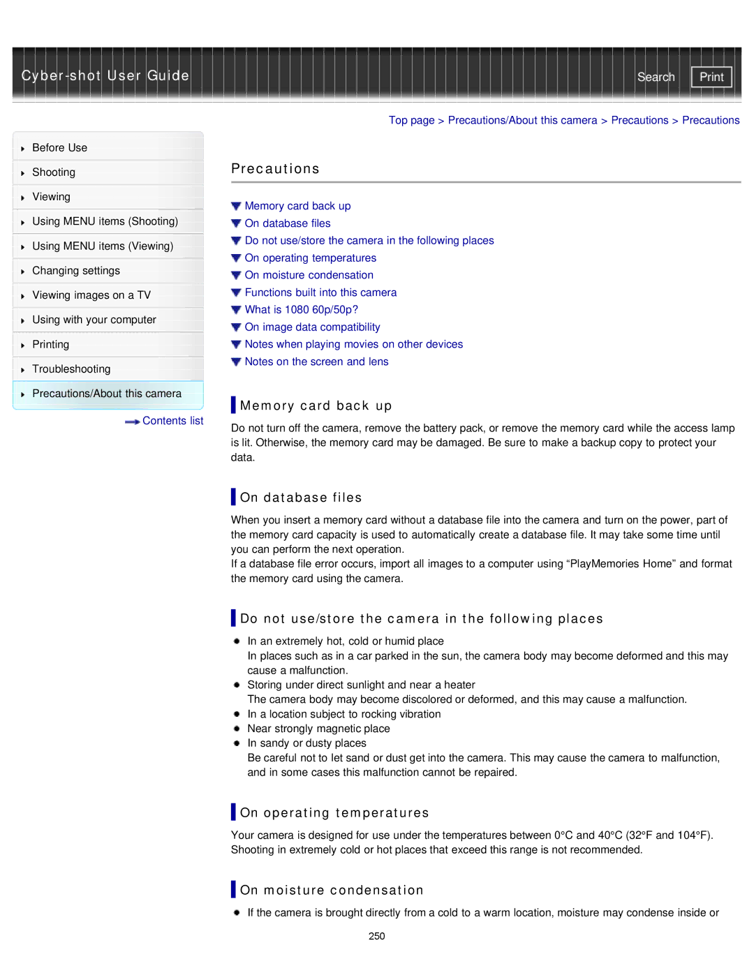 Sony DSC-RX1/RX1R manual Precautions 