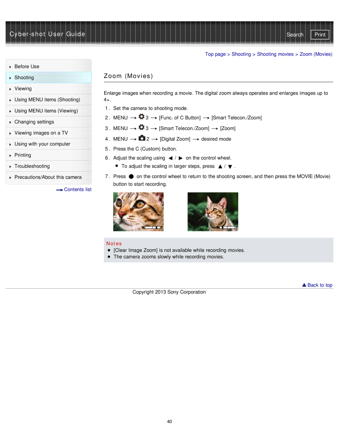 Sony DSC-RX1/RX1R manual Zoom Movies 