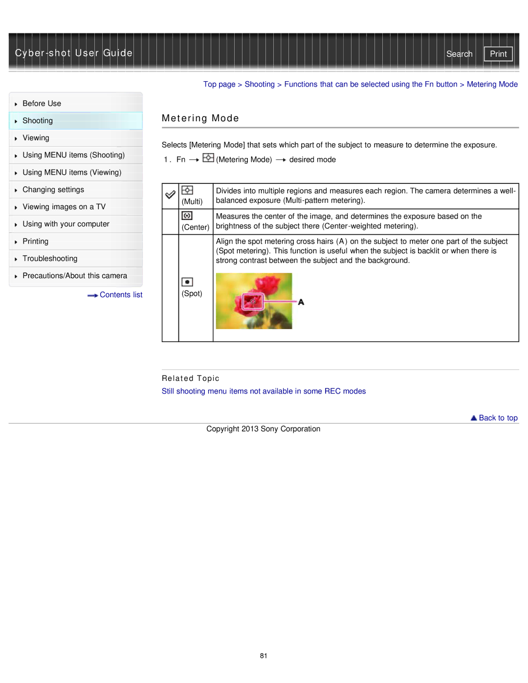 Sony DSC-RX1/RX1R manual Metering Mode 