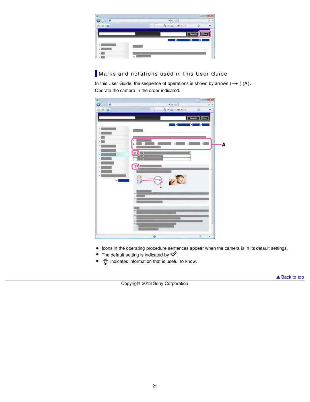 Sony DSC-TF1/LC, DSCTF1B, DSCTF1/B, DSCTF1/R, DSCTF1/L, DSCTF1R, DSCTF1L manual Marks and notations used in this User Guide 