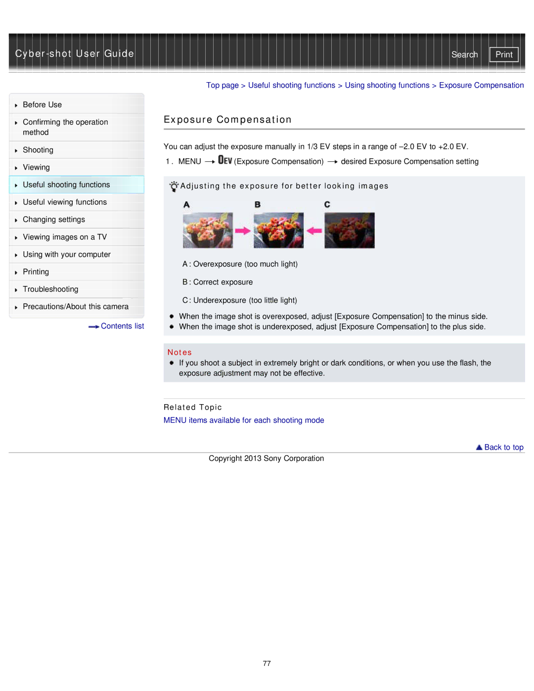 Sony DSC-TF1/LC, DSCTF1B, DSCTF1/B, DSCTF1/R, DSCTF1/L, DSCTF1R, DSCTF1L manual Adjusting the exposure for better looking images 