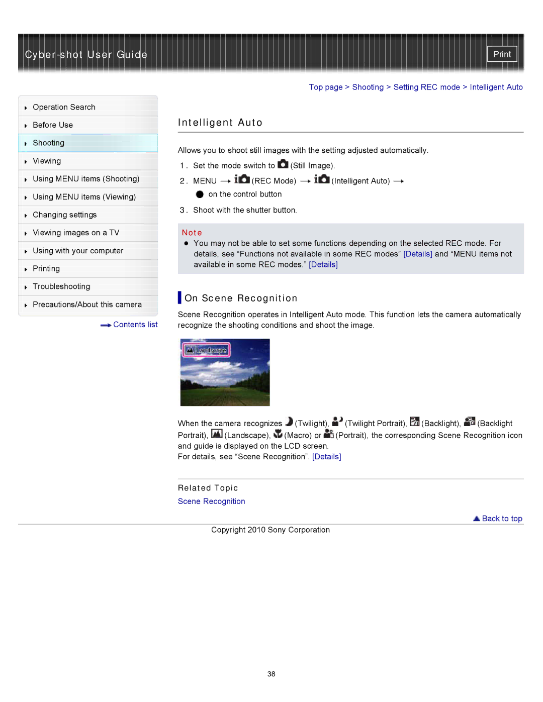 Sony W550, DSC-W530, DSCW530 manual Intelligent Auto, On Scene Recognition 