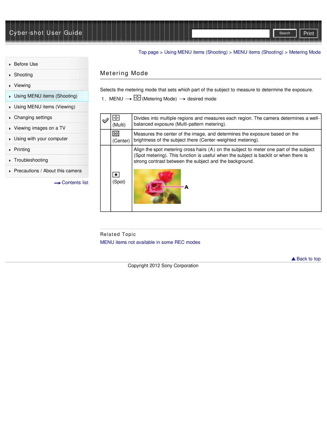 Sony DSC-W690/B manual Metering Mode 