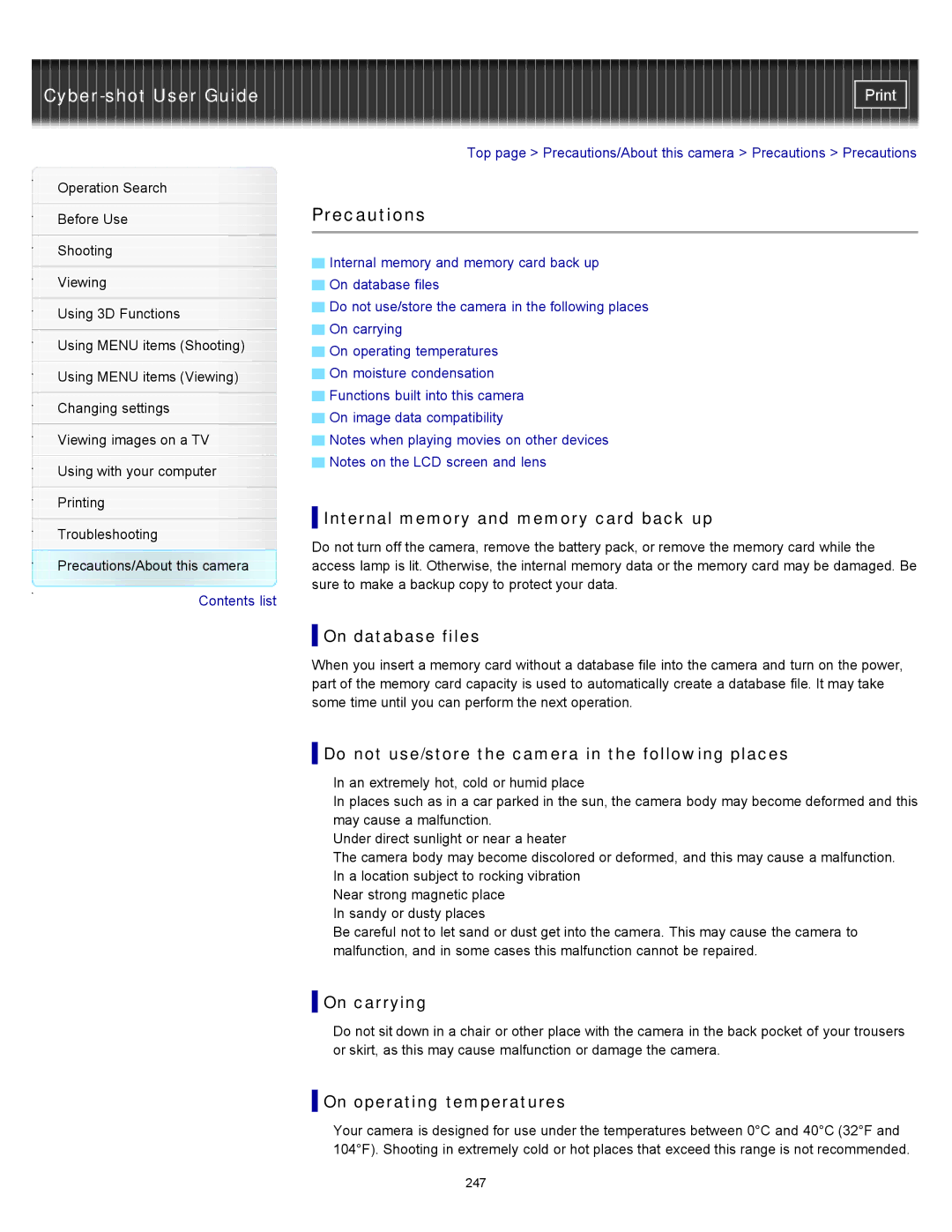 Sony DSC-WX10 manual Precautions 