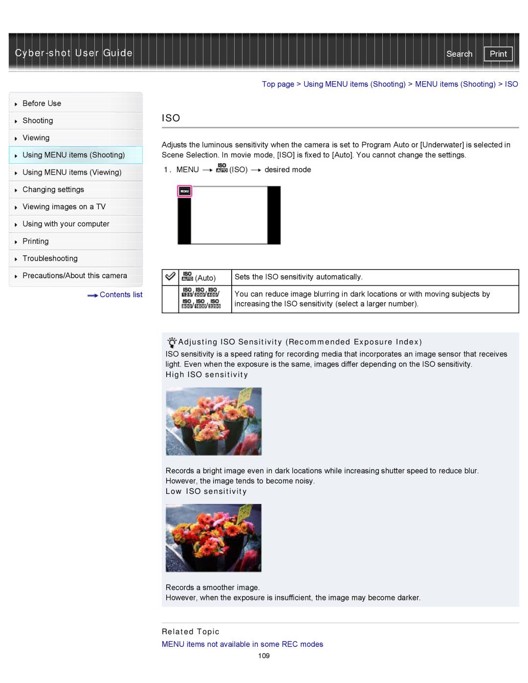 Sony DSC-TX20/D Top page Using Menu items Shooting Menu items Shooting ISO, High ISO sensitivity, Low ISO sensitivity 