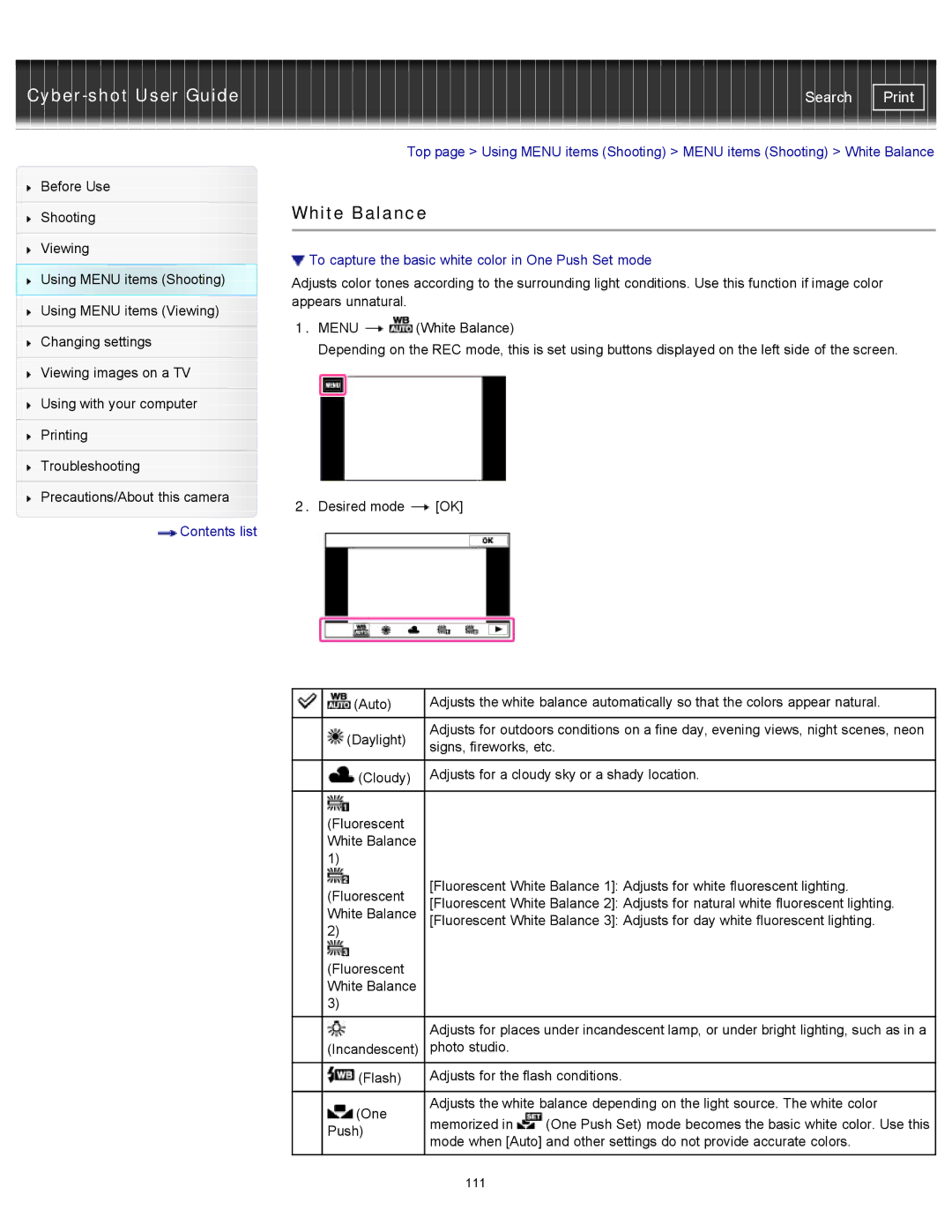 Sony DSC-TX20/D, DSCTX20 manual White Balance, To capture the basic white color in One Push Set mode 