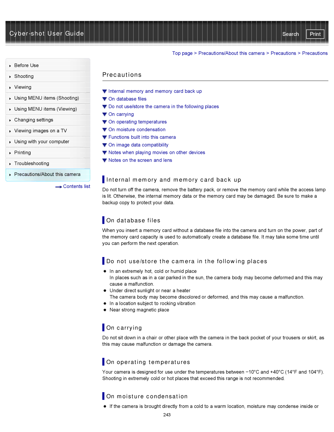 Sony DSC-TX20/D, DSCTX20 manual Precautions 