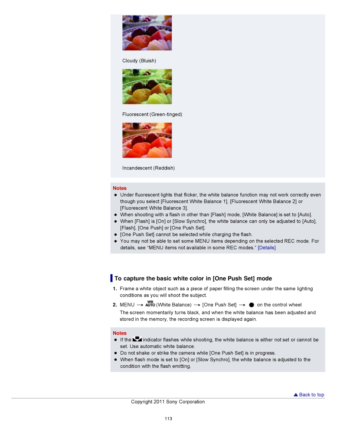 Sony DSCWX9 manual To capture the basic white color in One Push Set mode 