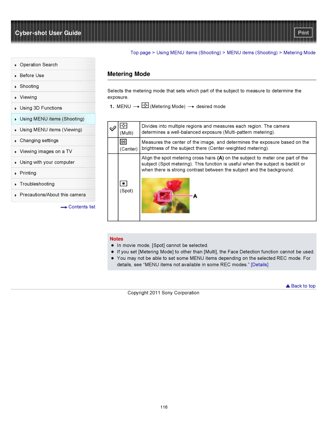 Sony DSCWX9 manual Metering Mode 