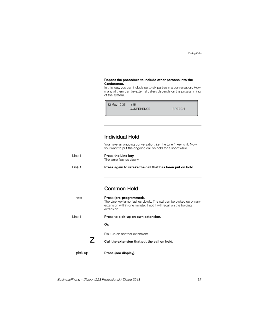 Sony Ericsson Dialog 3213, Dialog 4223 manual Individual Hold, Common Hold 