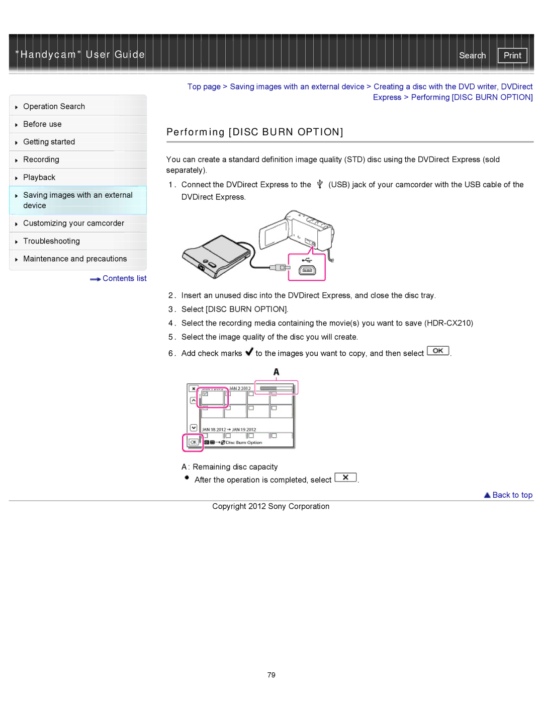 Sony CX200, HDR-CX190, PJ200, CX210 manual Performing Disc Burn Option 