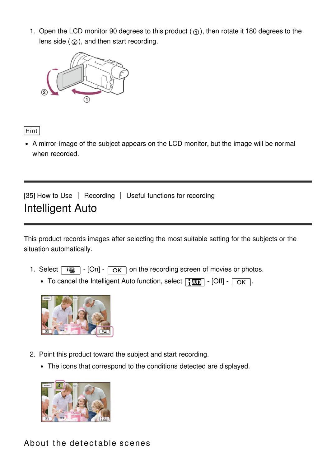 Sony HDR-CX900E, FDR-AX100E manual Intelligent Auto, About the detectable scenes 