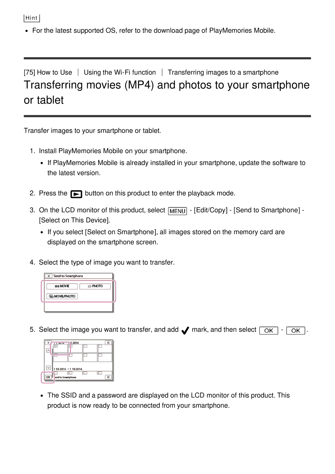 Sony HDR-CX900E, FDR-AX100E manual Hint 