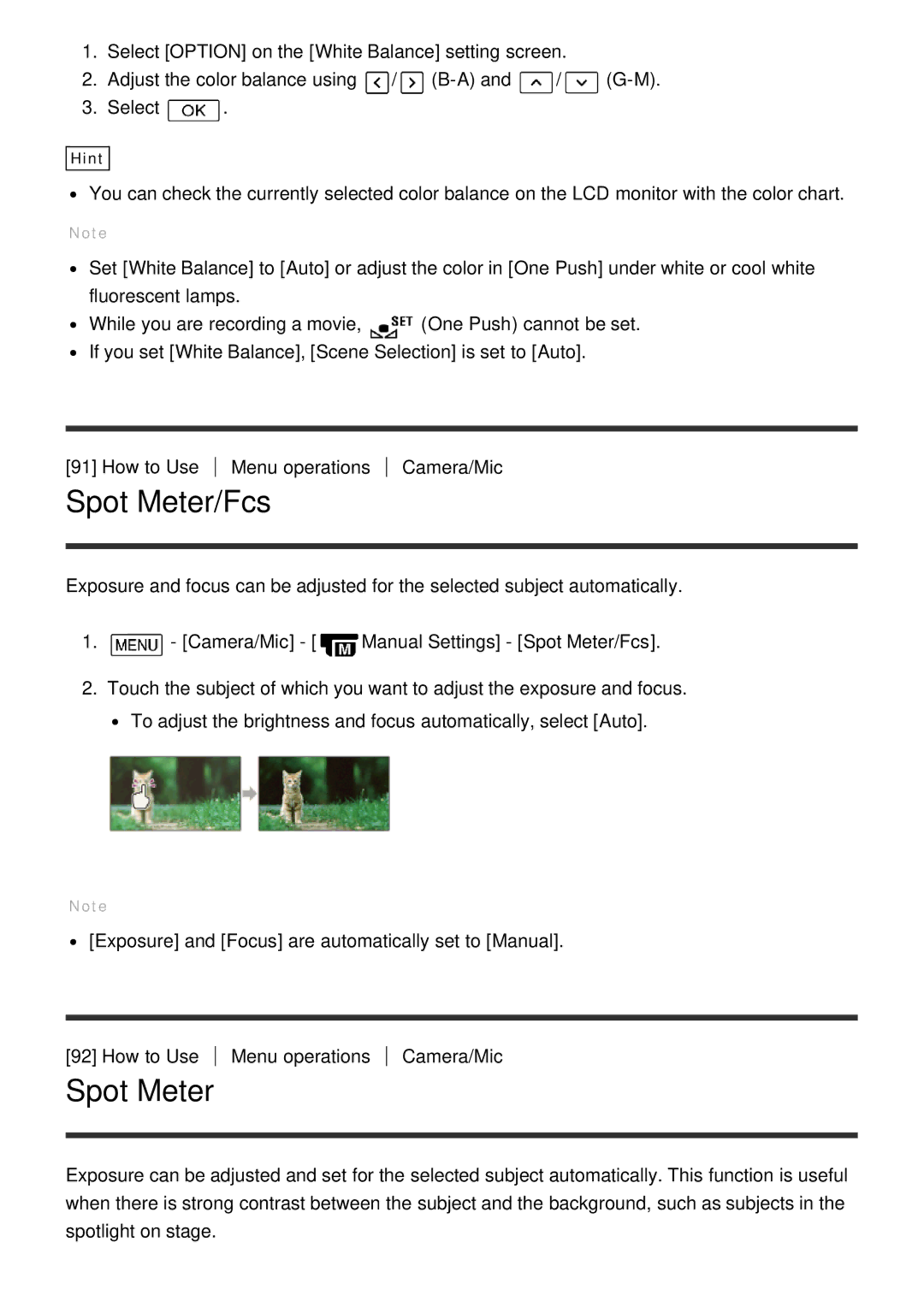 Sony HDR-CX900E, FDR-AX100E manual Spot Meter/Fcs 