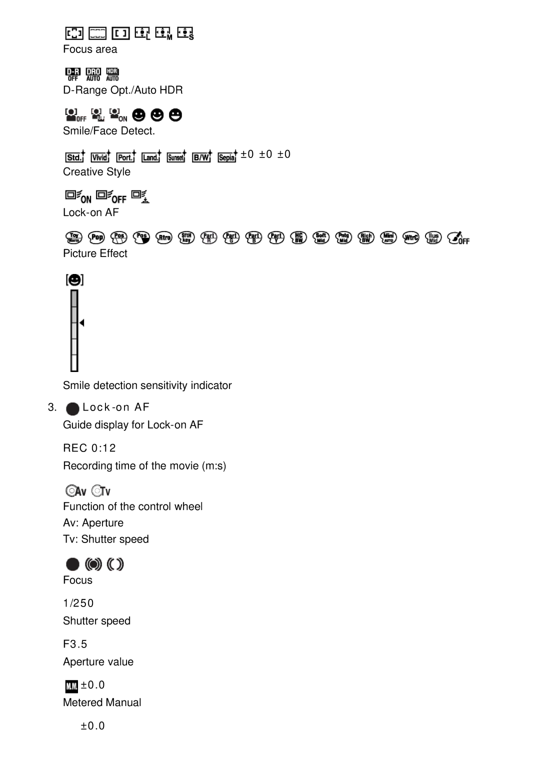 Sony ILCE-5000 manual ±0 ±0 ±0, Lock-on AF, Rec, 250, F3.5 