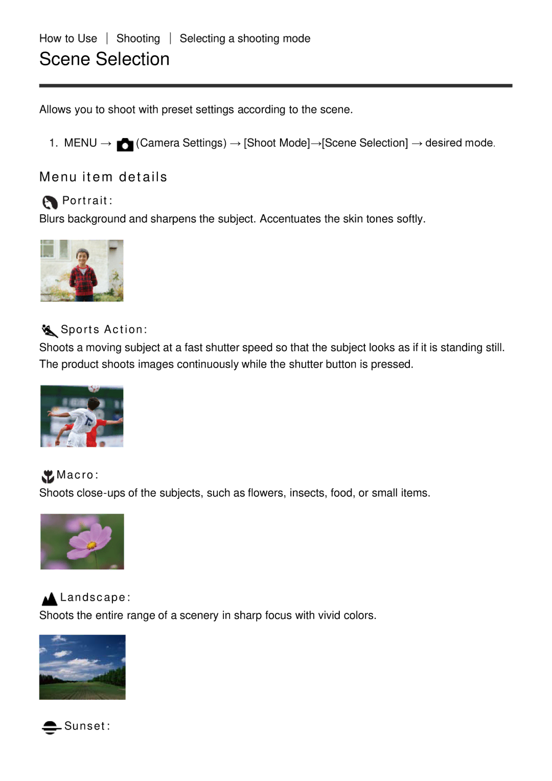 Sony ILCE-5000 manual Scene Selection, Menu item details 