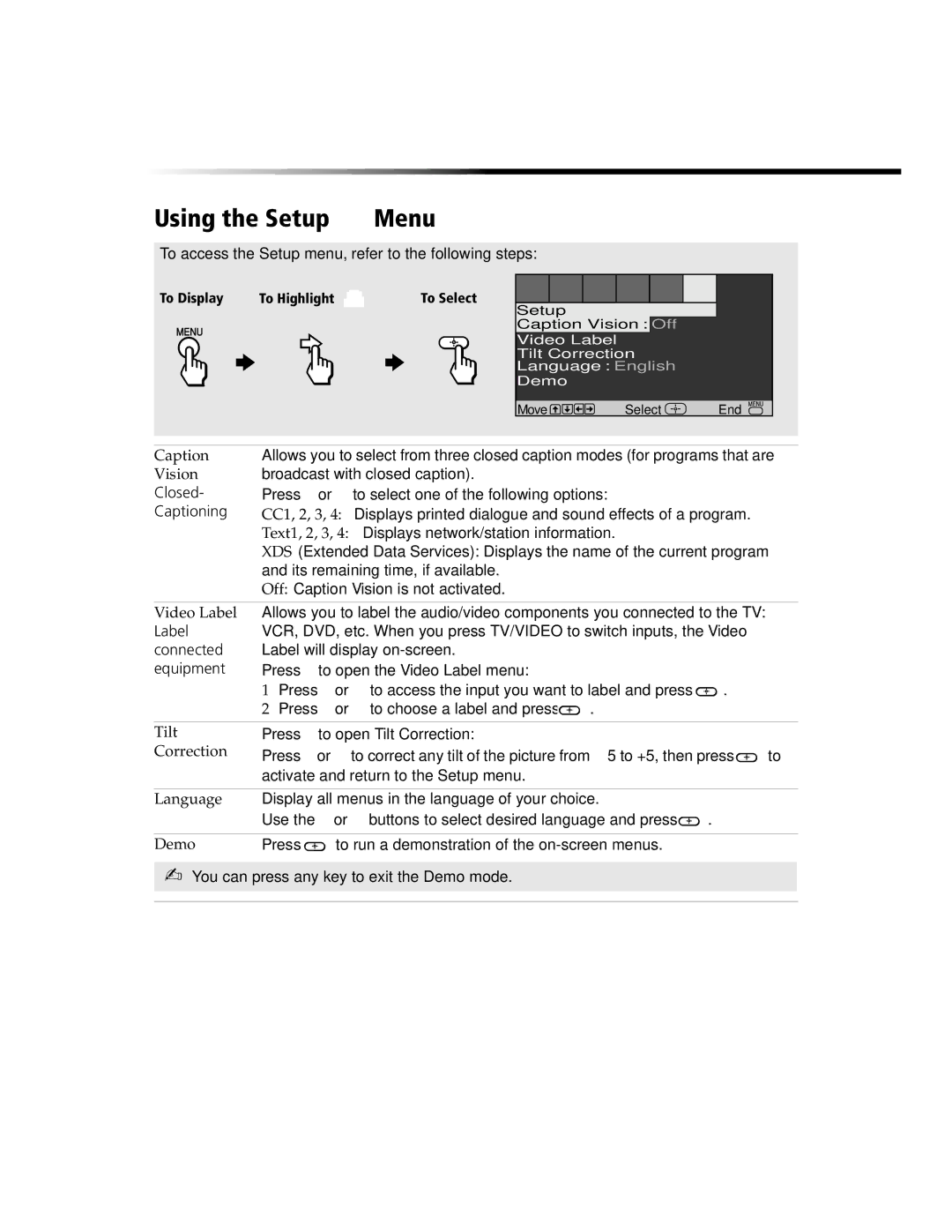 Sony KV-13FS110, KV-20FS100, KV-24FS100, KV-13FS100 operating instructions Using the Setup Menu 